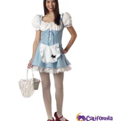 Miss Dorothy Teen Costume