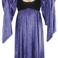 Evil Queen Plus Size Adult Costume