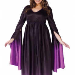 Magical Witch Plus Size Adult Costume