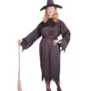 Witchy Witch Plus Size Adult Costume