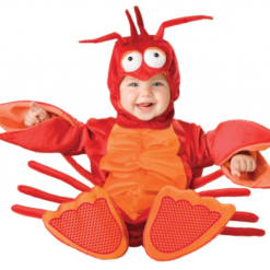 Lobster Costume