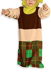 Shrek Costume