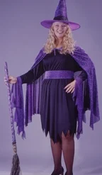 Shimmering Witch Plus Size Adult Costume