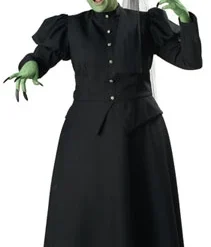 Womens Plus Wicked Witch Elite Costume